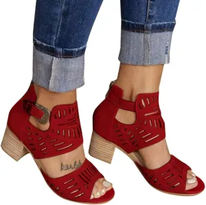 ZBYY Women's Peep Toe Sandals Summer Double Buckle Cutout Side Strap Sandals Chunky Block Low Heel Ankle Strap Sandals